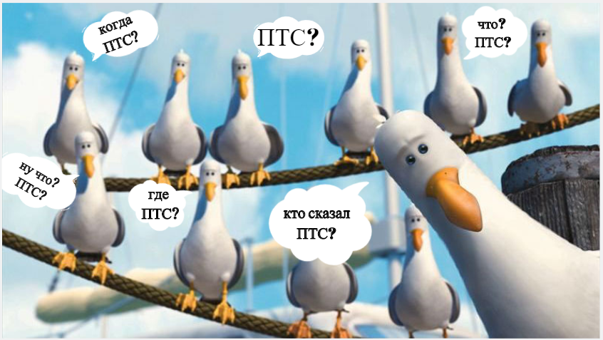 GNC1 мем.png